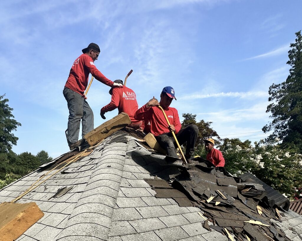 Trusted Roofing Services