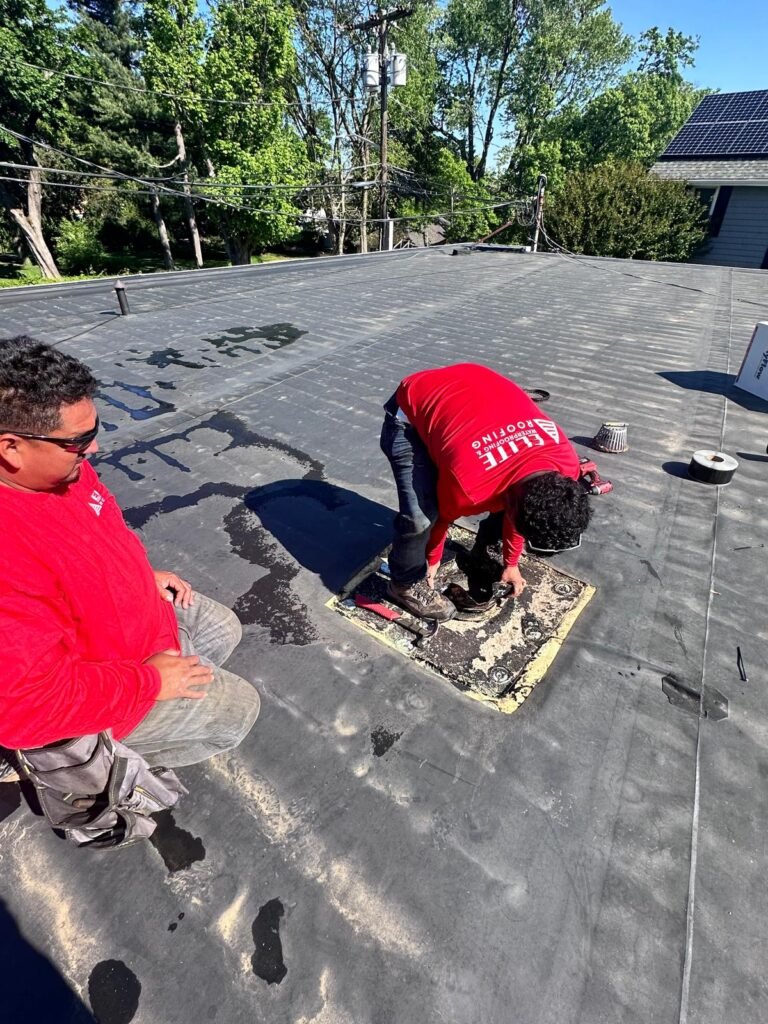 Top-Rated Tile Roof Replacement Specialists Top-Rated Tile Roof Replacement Specialists